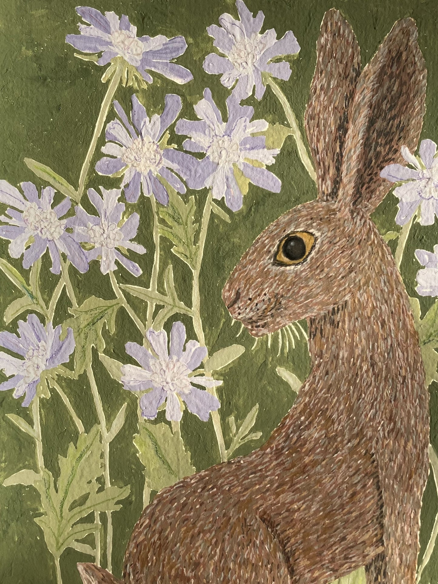 Pincushion Hare