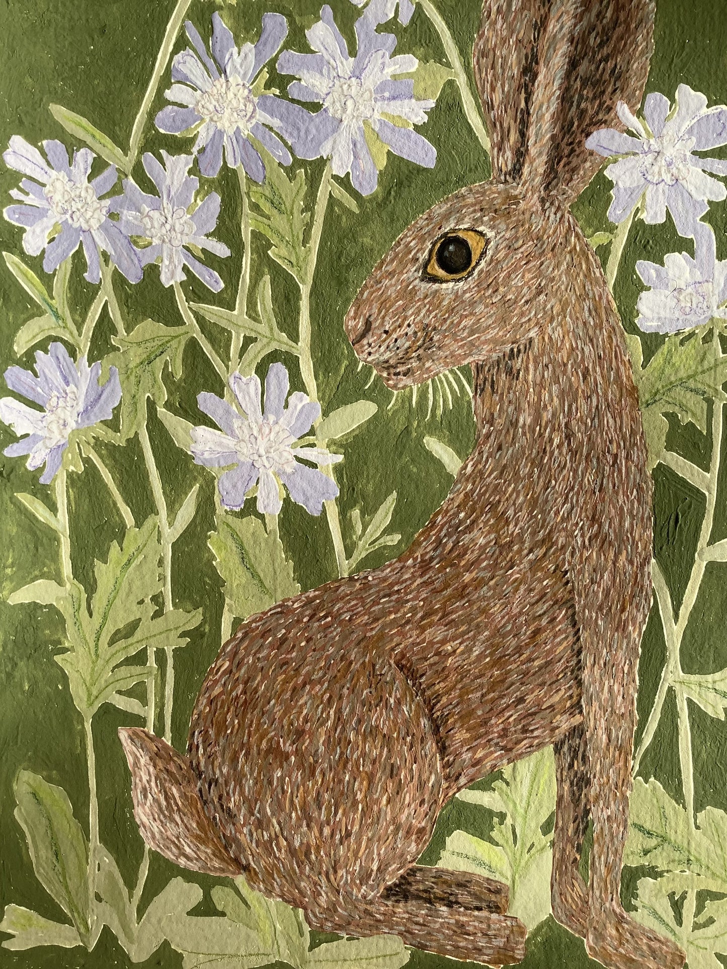 Pincushion Hare