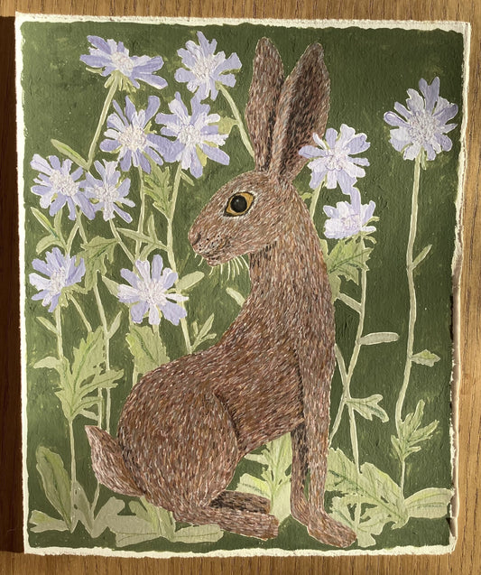 Pincushion Hare